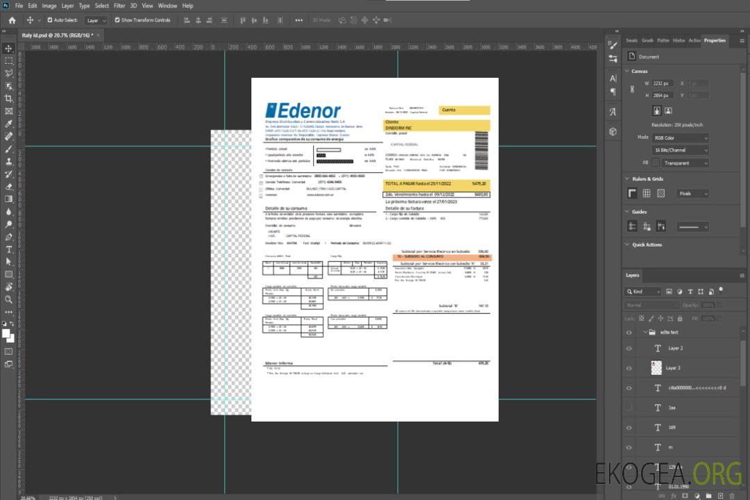 Edenor facture facile à remplir pour les entreprises de services publics SCR template